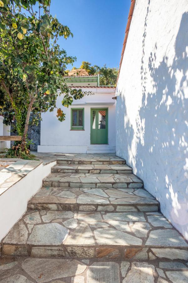 Olea Skopelos Villas With Swimming Pools & Sea View Panormos  외부 사진