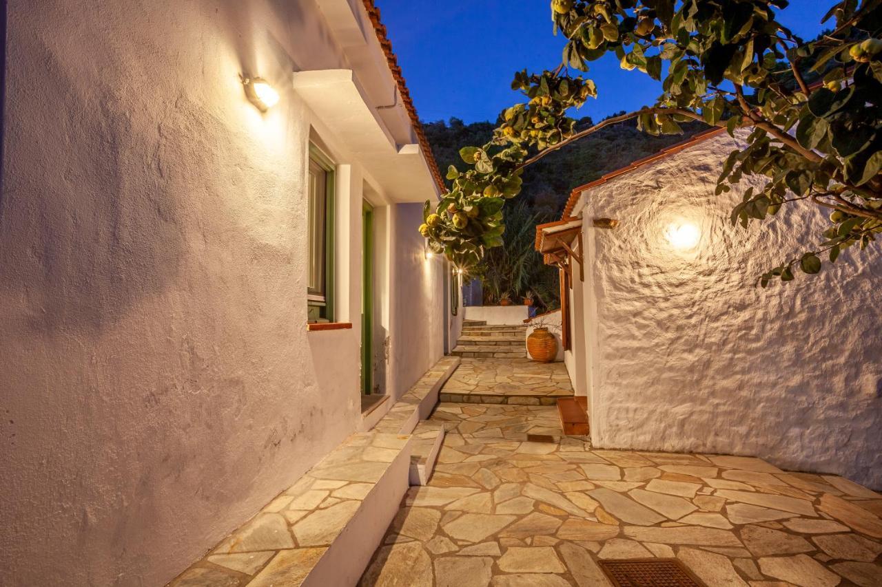 Olea Skopelos Villas With Swimming Pools & Sea View Panormos  외부 사진