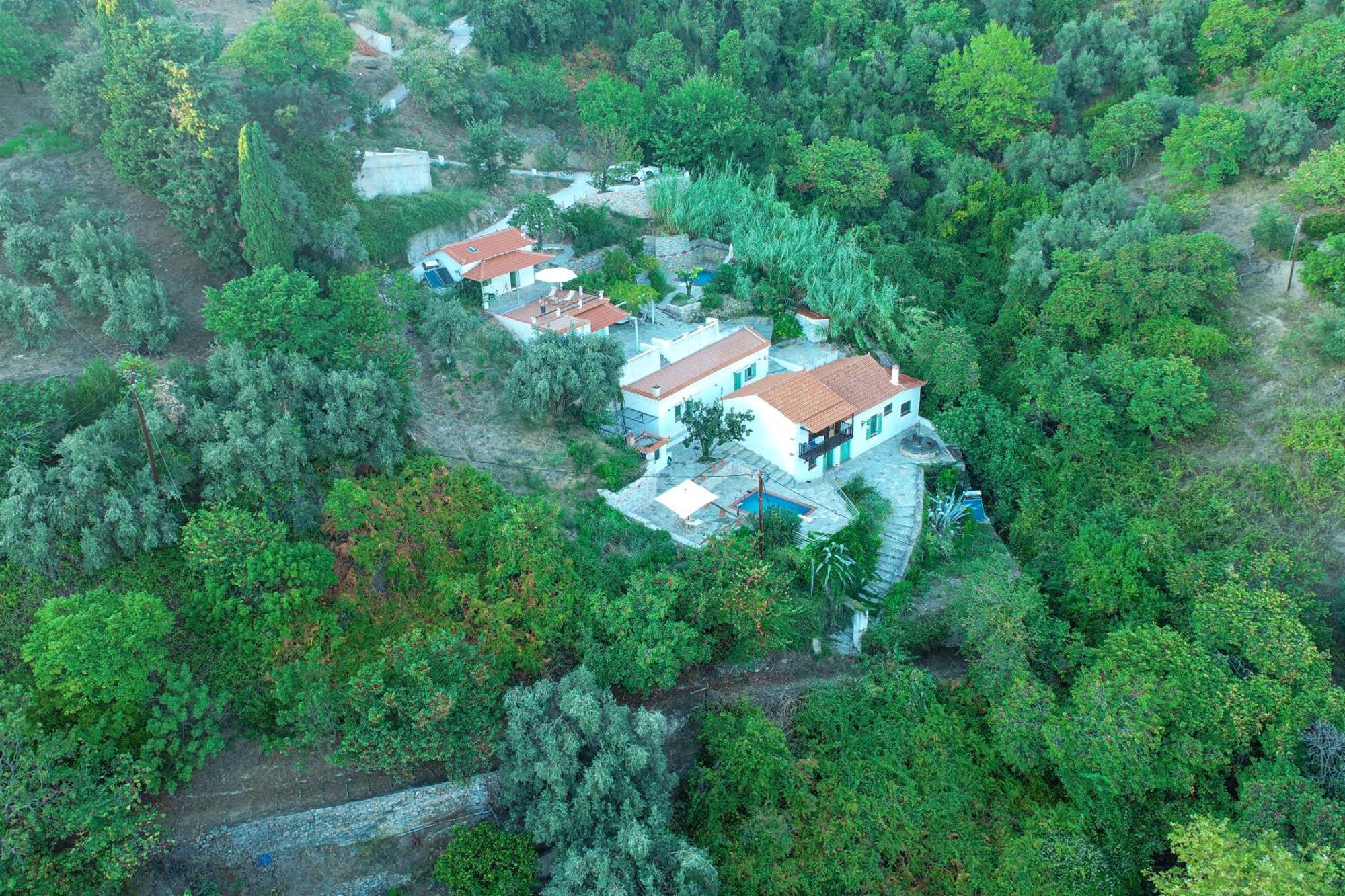 Olea Skopelos Villas With Swimming Pools & Sea View Panormos  외부 사진